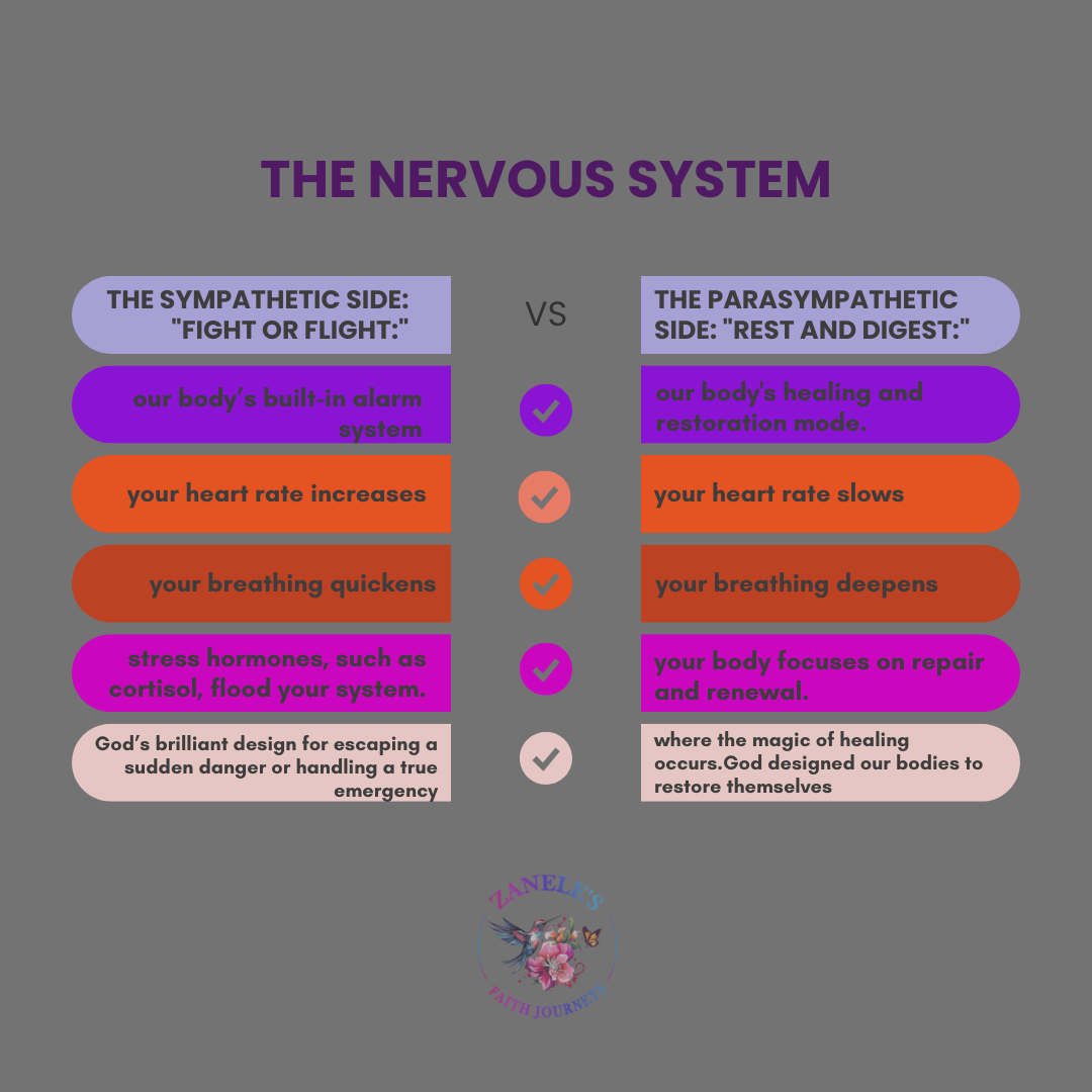 Chart explaining the two main parts of the nervous system: the sympathetic side that responds to stress and the parasympathetic side that promotes healing and rest