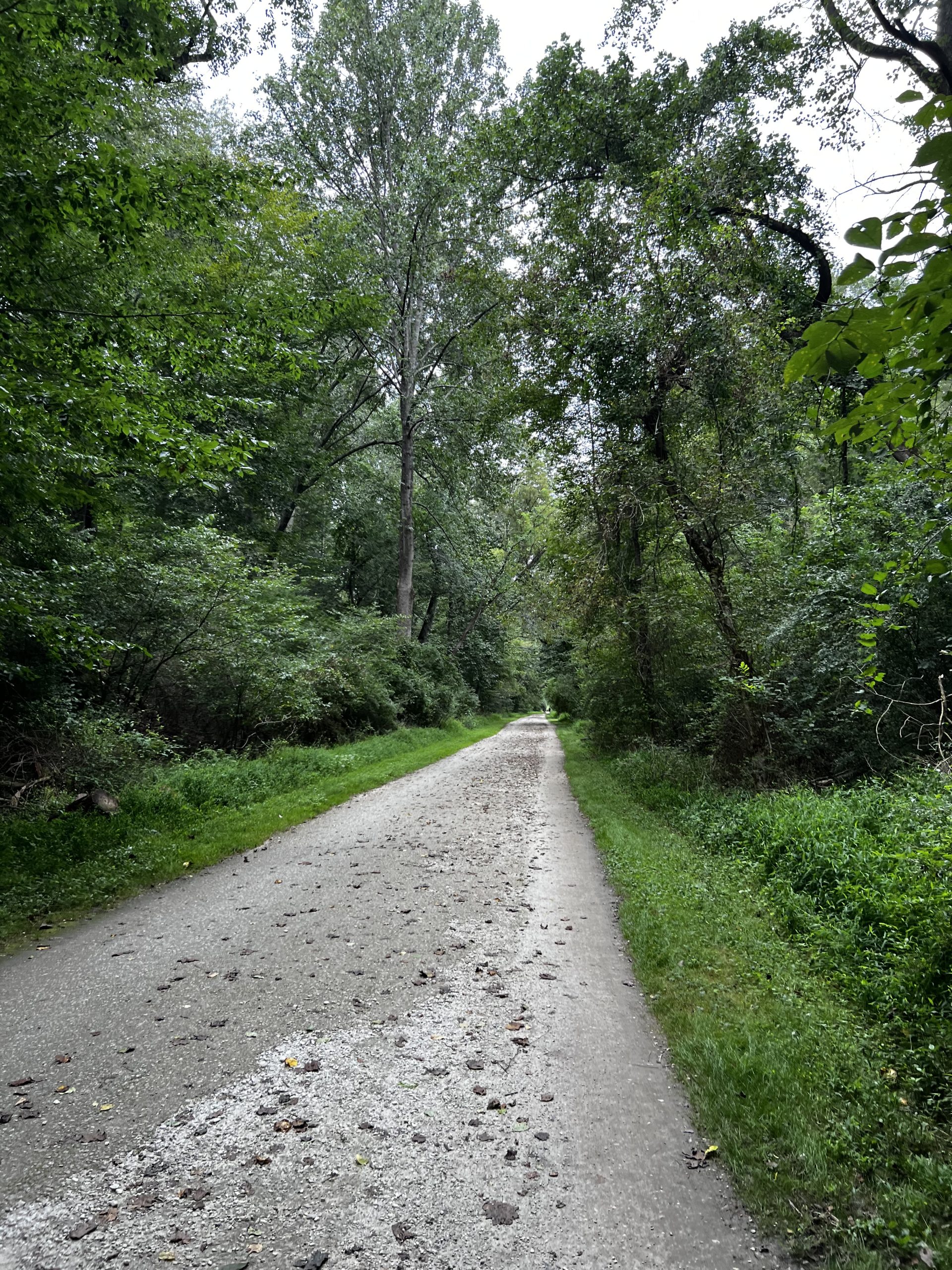 Nature trail path extending into distance symbolizing journey and progress.
