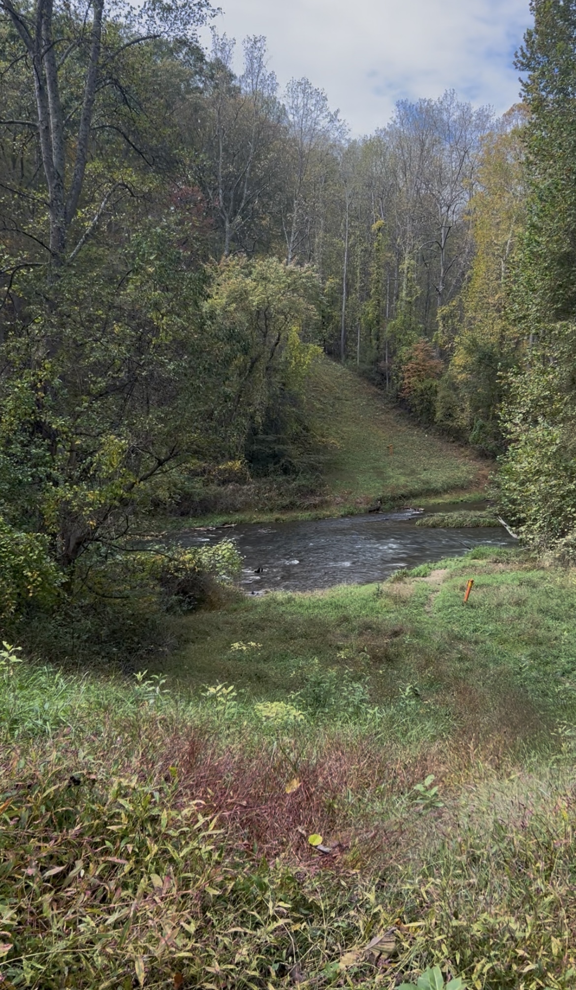 Peaceful nature scene with rolling hills and a flowing stream on a wooded trail.