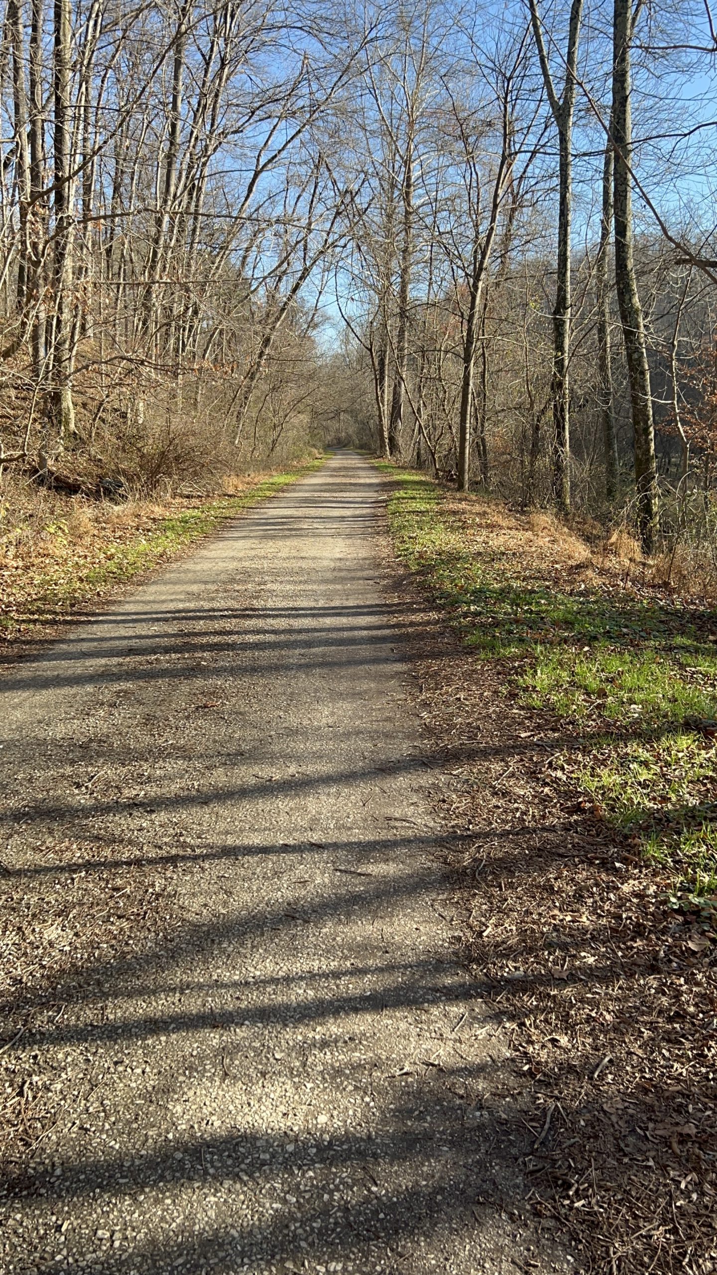 Determined December Part 2: Grace When Small Wins Don’t Seem Like Enough