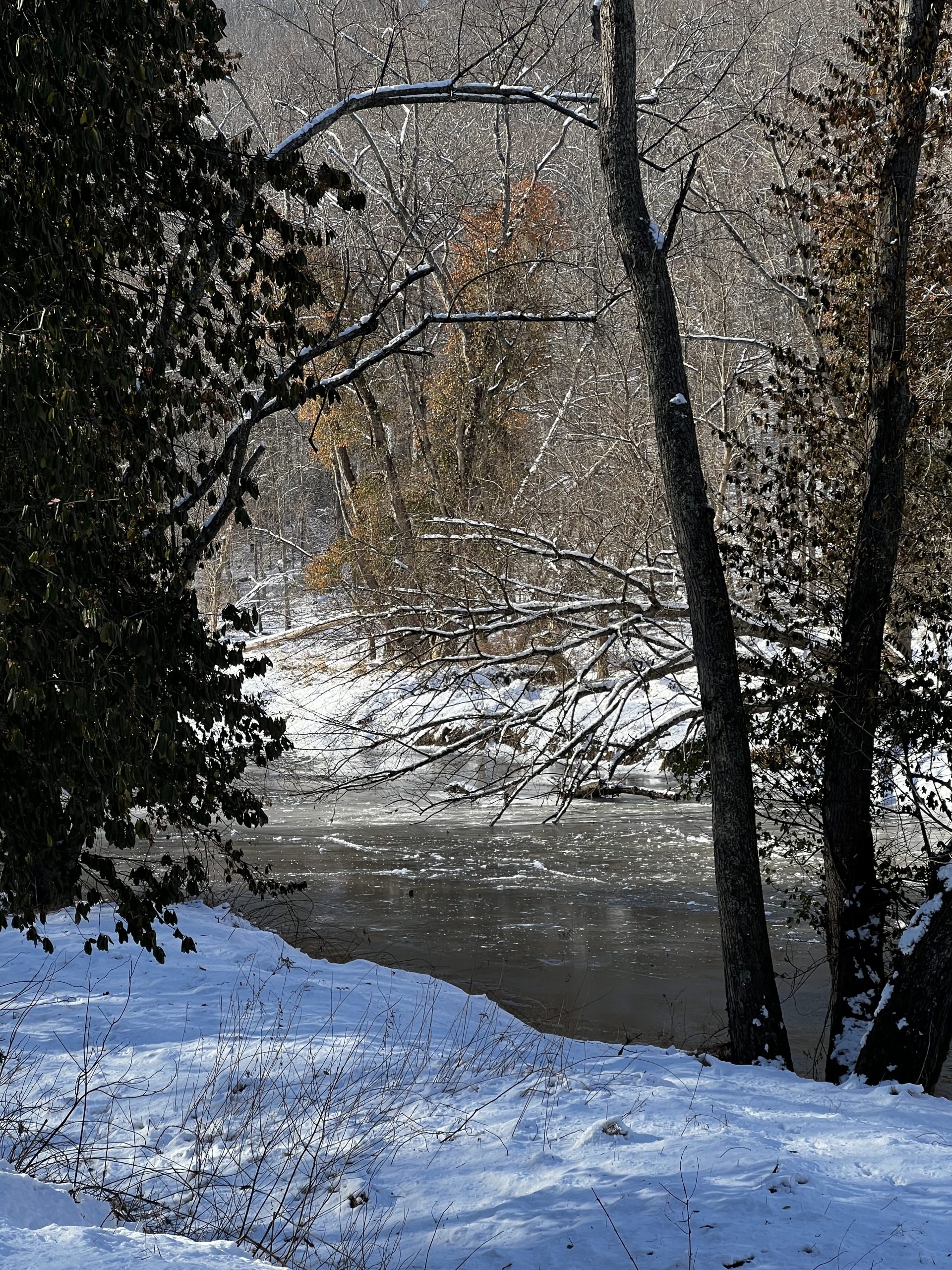 Rest, Discernment, and What’s Coming