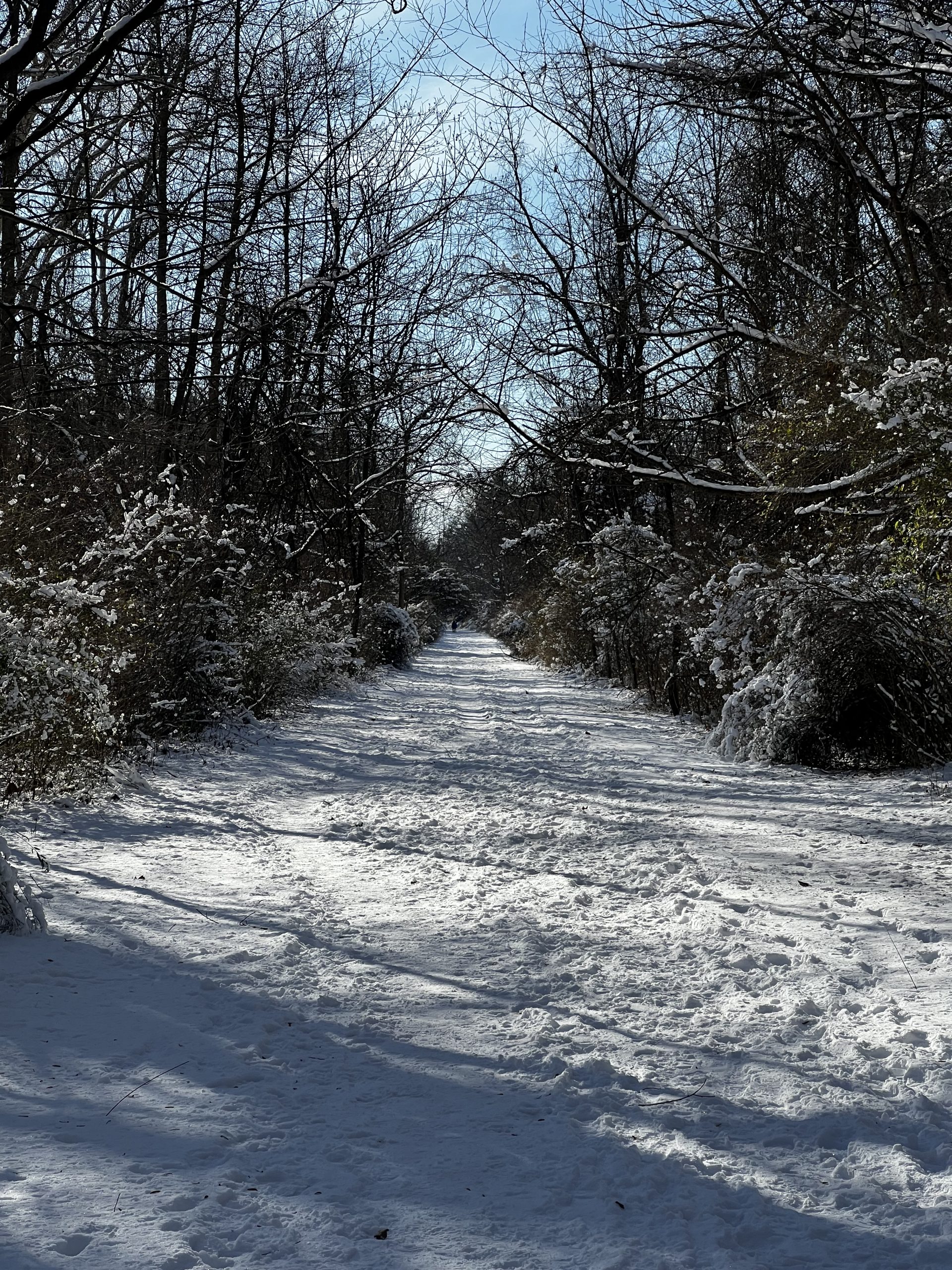 Jump-Start January: When Your Body Says ‘Stop’ (And You Have to Listen)