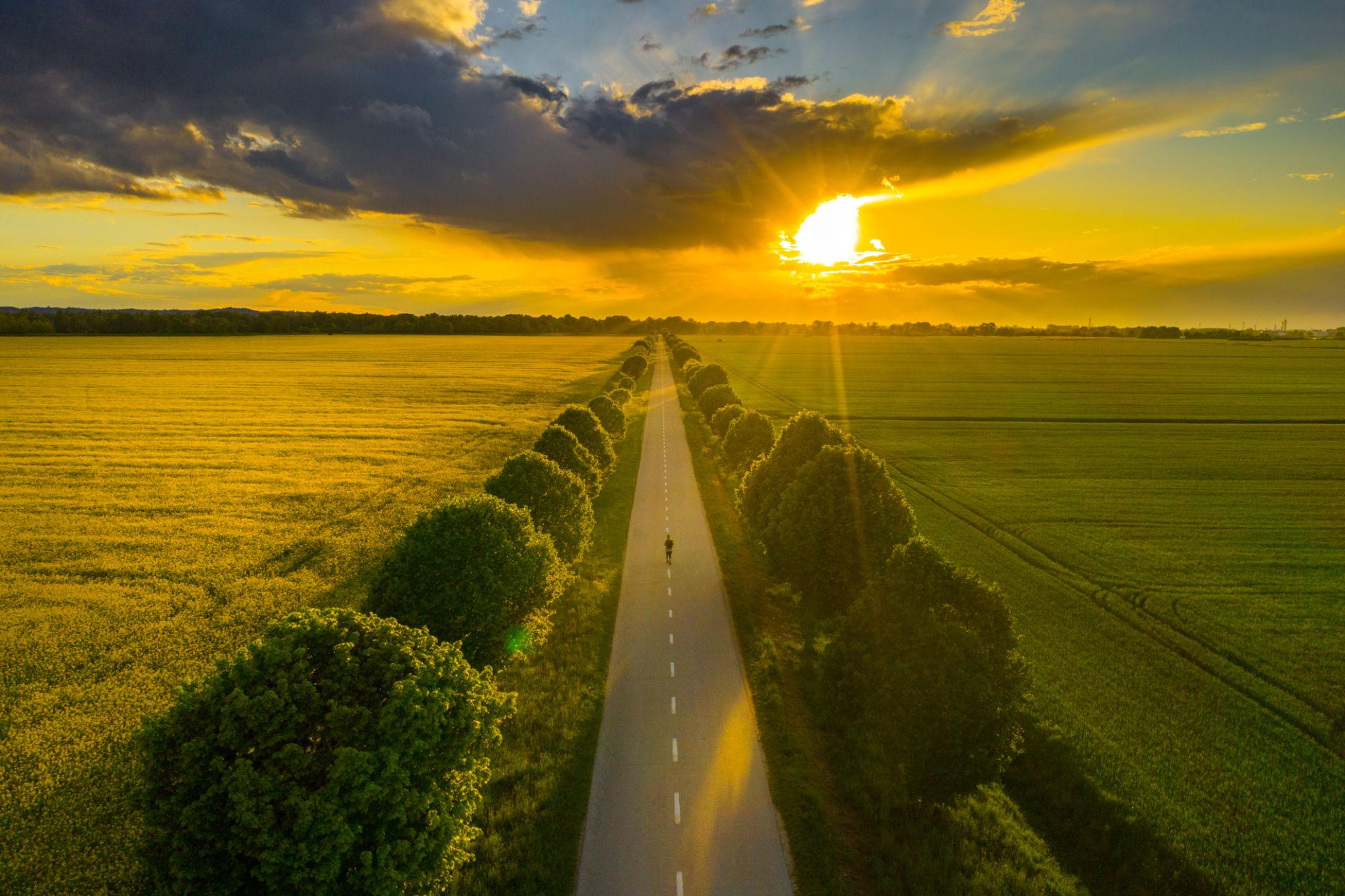 A lone figure walks down a long straight road lined with trees, stretching toward a brilliant golden sunset under dramatic clouds — representing a faith journey through an open and uncertain season.