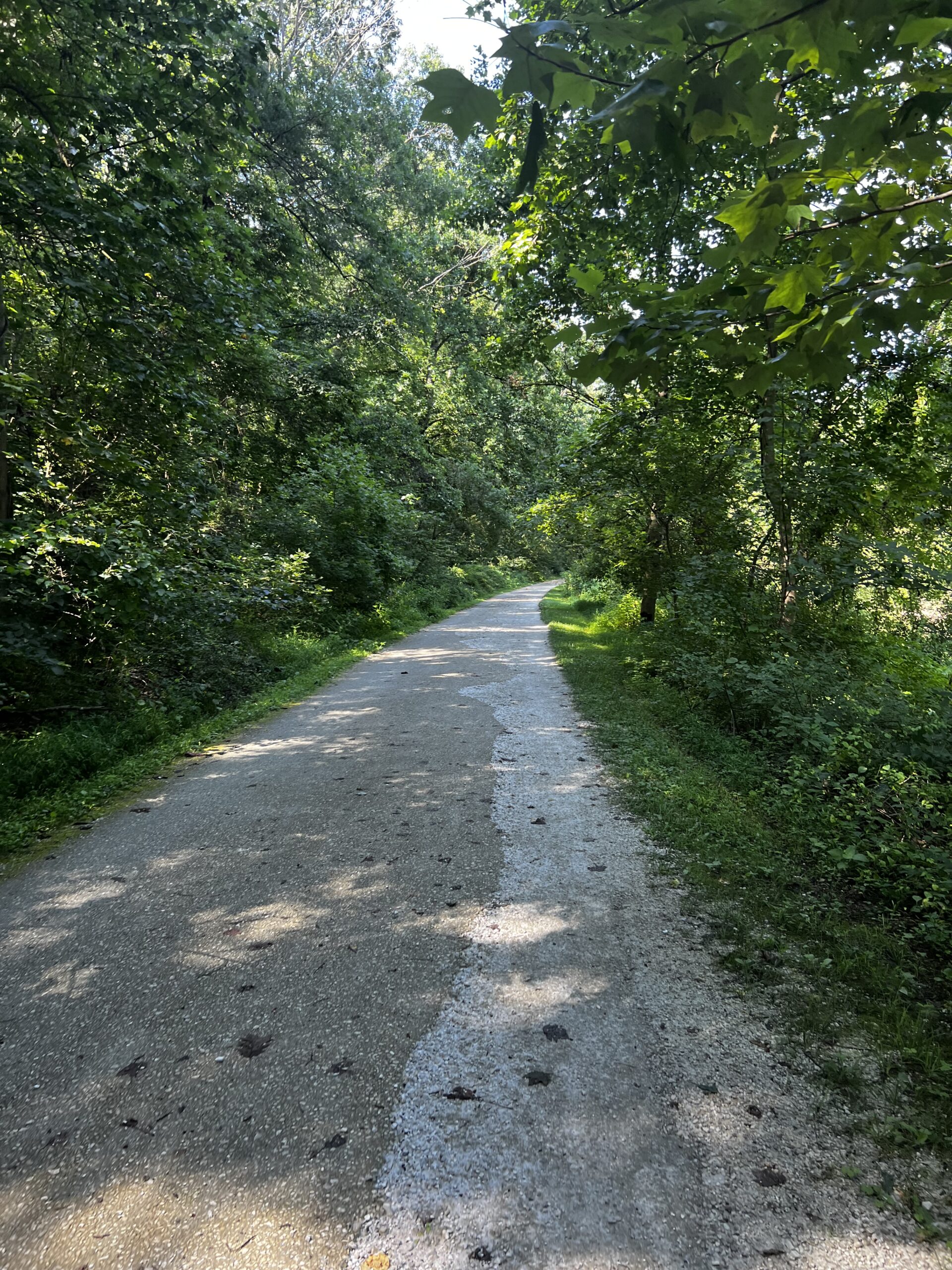 A peaceful wooded trail curves gently through tall green trees, inviting a quiet walk and a moment of reflection.
